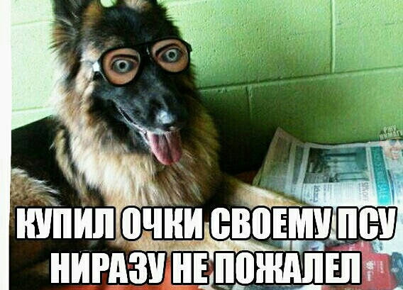 чііидевовмн не нигдзинідпэщлш