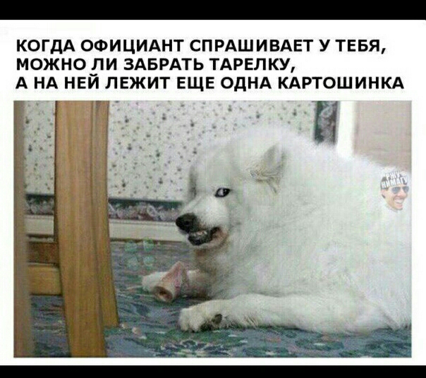 КОГДА ОФИЦИАНТ СПРАШИВАЕТ У ТЕБЯ МОЖНОБИ ЗАБРАТЬ ТАРЕЛКУ А НА НЕИ ЛЕЖИТ ЕЩЕ ОДНА КАРТОШИНКА