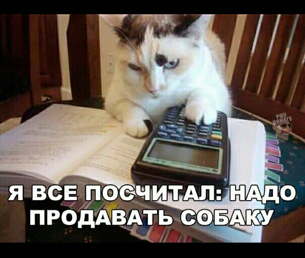 Я ВСЕ ПОСЧМТАП НАдС ПРО ВАТЬ СОБАКУ дд