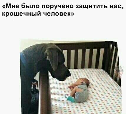 Мне было поручено защитить вас крошечный человек