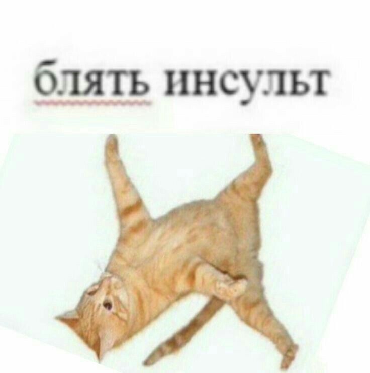 Блять инсульт