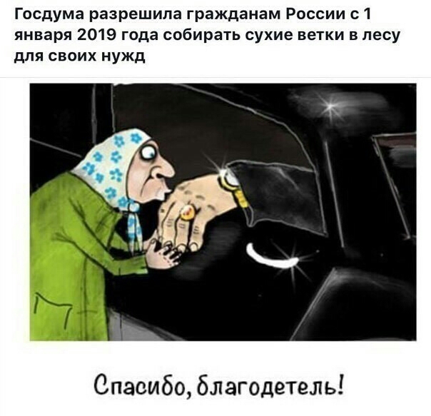 Госдума разрешила гражданам России с 1 января 2019 года собирать сухие ветки в лесу для своих нужд Спасибо благод
