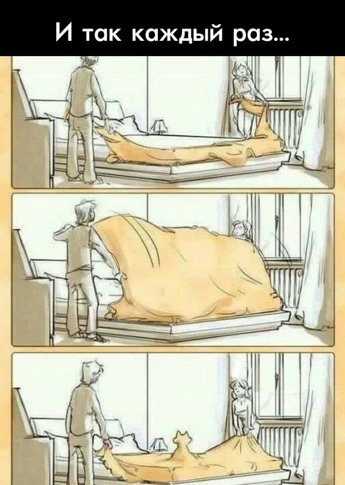 И так каждый раз