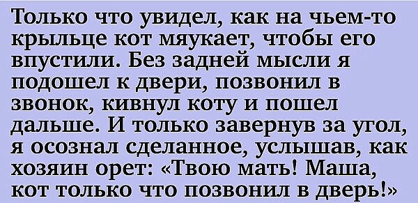 Только что увидел как на чьем то крыльце кот мяукает чтобы его впустили Без задней мысли я подошел к двери позвонил в звонок кивнул коту и пошел дальше И только завернув за угол я осознал сделанное услышав как хозяин орет Твою мать Маша кот только что позвонил в дверь