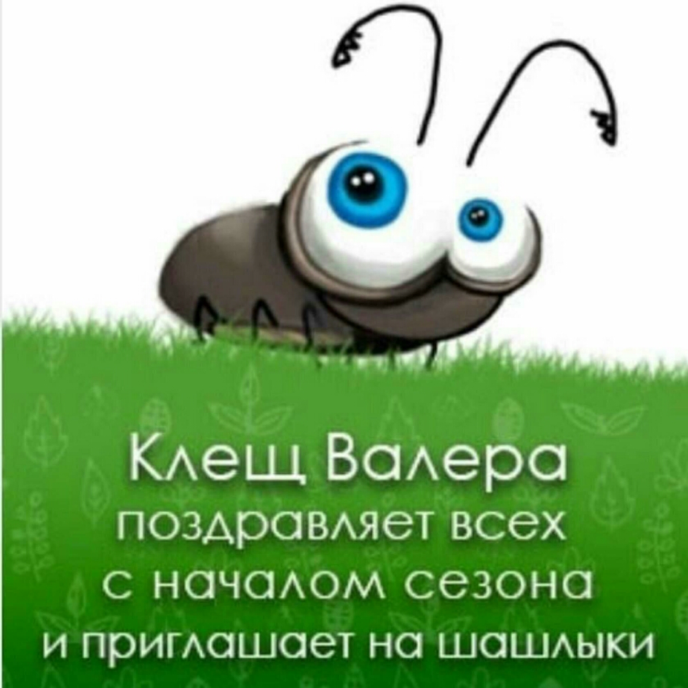 КАеЩ ВОАеро ПОЗАрОВАЯеТ ВСЭХ С НОЧОАОМ СЭЗОНО И ПрИГАОШОЗТ НО ШОШАЫКИ
