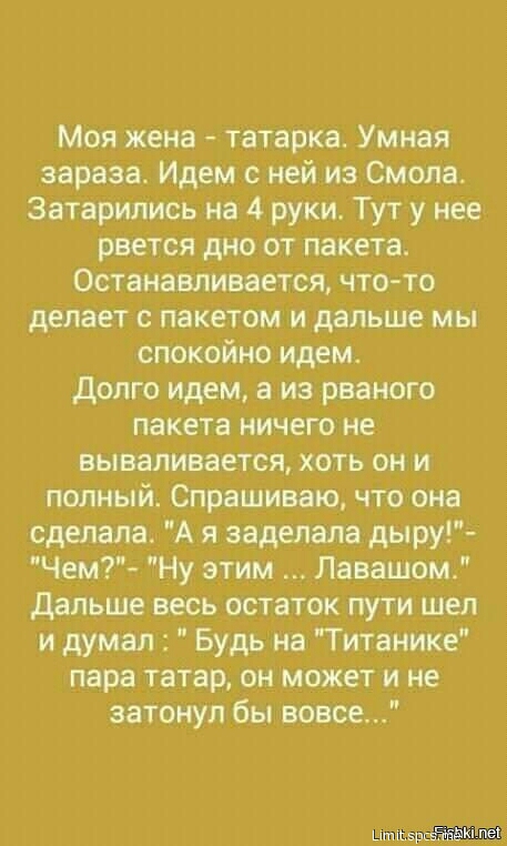 Моя жена татарка Умная зараза Идем ней из Смола Затарились на 4 руки Тут у нее рвется дно от пакета Останавливается что то делает с пакетом и дальше мы спокойно идем долго идем в из рваного пакета ничего не вываливается хоть он и полный Спрашиваю что она сделала А я заделала дыру Чем Ну этим Павашом дальше весь остаток пути шея и думал Будь на Титанике пара татар он может и не затонул бы вовсе Баг