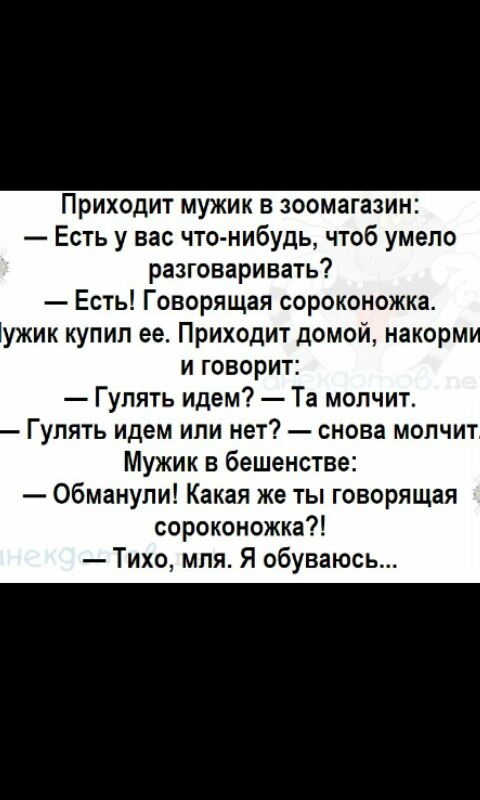 Приходит мужик в зоомагазин Есть у вас что нибудь чтоб умело разговаривать Есть Говорящая сороконожка ужик купил ее Приходит домой накорм и говорит Гулять идем Та молчит Гулять идем или нет снова молчит Мужик в бешенстве обманули Какая же ты говорящая сороконожка Тихо мпя Я обуваюсь