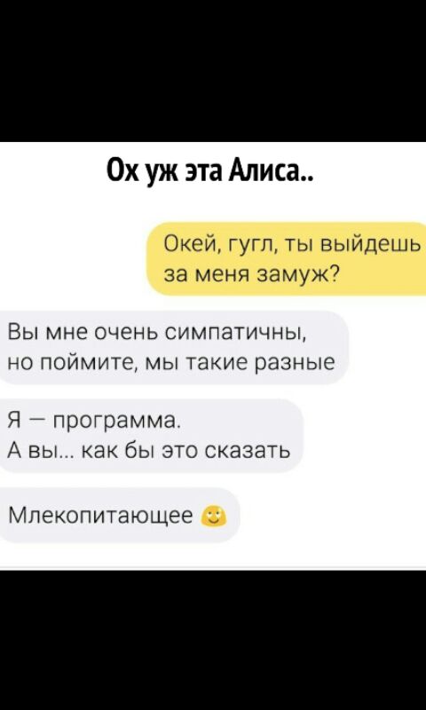 Ох уж эта Алиса Окей гугл ты выйдешь за меня замуж7 ВЫ мне ОЧЕНЬ СИМПЗТИЧНЫ НО ПОЙМИТЭ МЫ такие разные Я программа А вы как бы это сказать Мпекопитающее