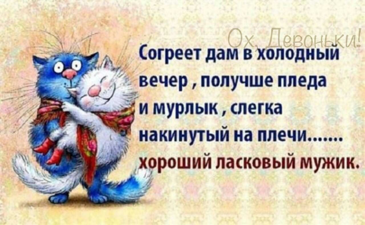 ечер получше ппеда мурлык легка инкииутый на плечи х9рошии лашовыи мужик