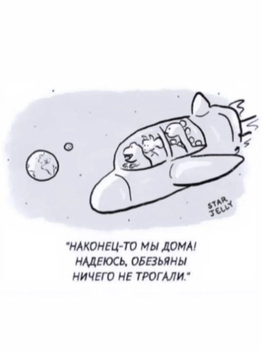 НАКОНЕЦТО МЫ ДОМА НАДЕЮСЬ ОБВЬЯНЬ НИЧЕГО НЕ ТРОГАЛИ