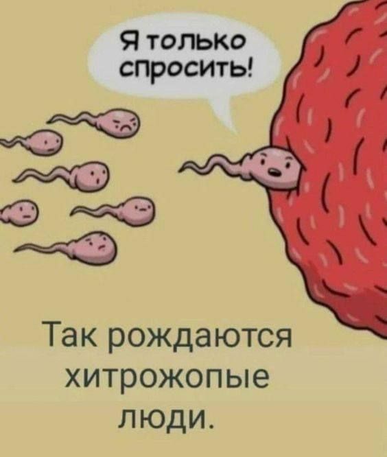 Так рождаются хитрожоп ые люди