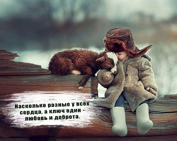 викии ип планы и міг Т ЕВПАЦЯ кпюч пдии пипи и лилии