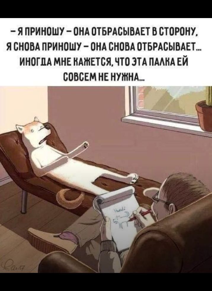 Я ПРИНОШУ ПНА ПТБРАБЫВАЕТ В СТОРОНУ Я СНОВА ПРИНПШУ ПНА СНОВА ОТБРАСЫВАЕТ ИНОГДА МНЕ НАЖЕТБЯ НТП ЭТА ПААНА ЕЙ СОВСЕМ НЕ НУЖНА