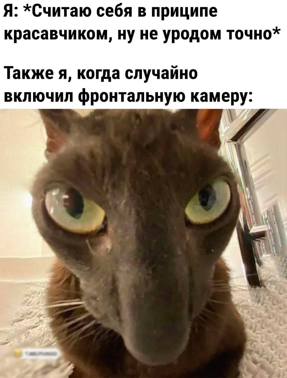 Я Считаю себя в приципе красавчиком ну не уродом точно Также я когда случайно включил фронтальную камеру