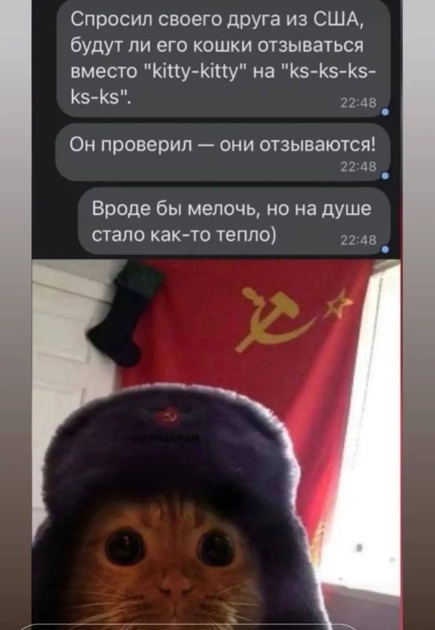 Спросил своего друга из США будут ли его кошки отзываться вместо КіпуКіпу на 164645 5 22 Аз _ Он проверил они отзываются 22 Ав Вроде бы мелочь но на душе стало как то тепло