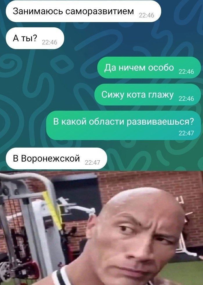 нимаюсь саморазвитием да ничем особо д46 Сижу кота глажу 2246 в какой области развиваешьсяі В Воронежской 2242