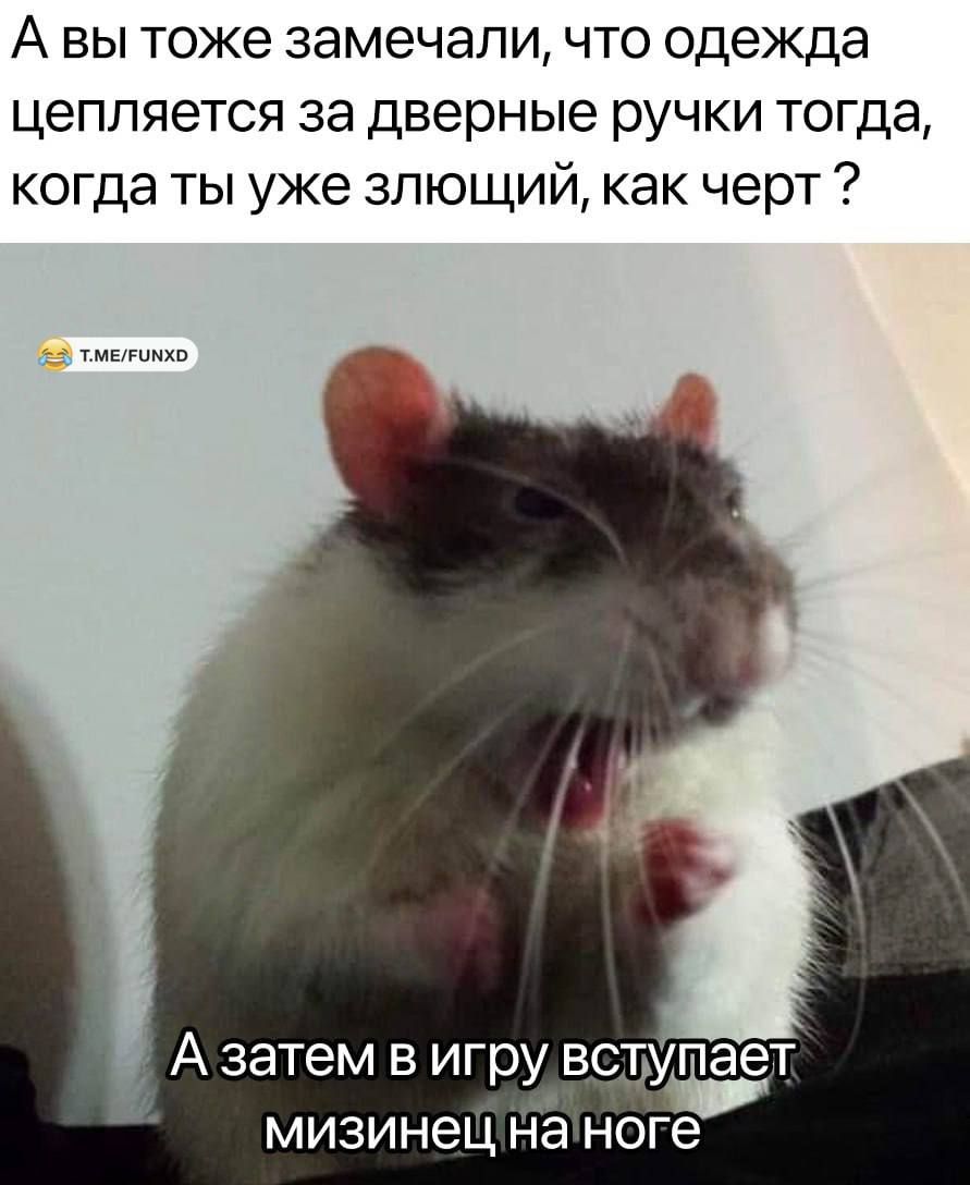 А вы тоже замечали что одежда цепляется за дверные ручки тогда когда ты уже злющий как черт А затем в игру встУпает мизинец на ноге