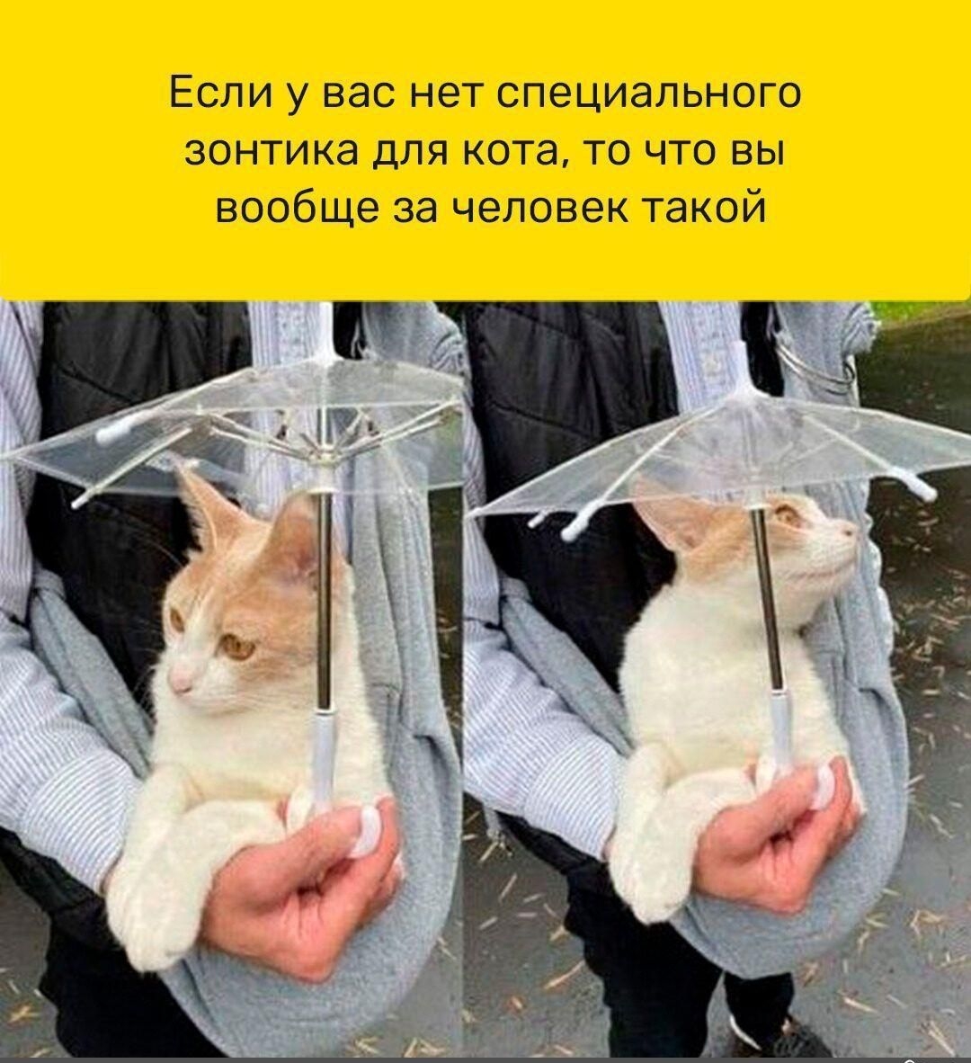 Если у вас нет специального ЗОНТИКЭ ДПР КОТЭ ТО ЧТО ВЫ вообще за человек такой