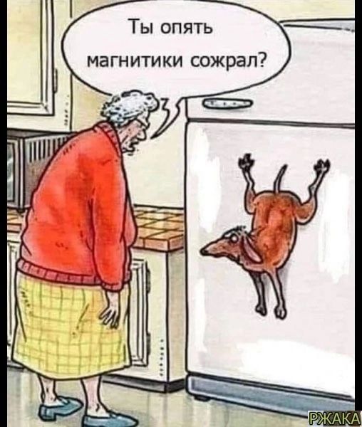 _ Я П О ь Т магн итики сожрал