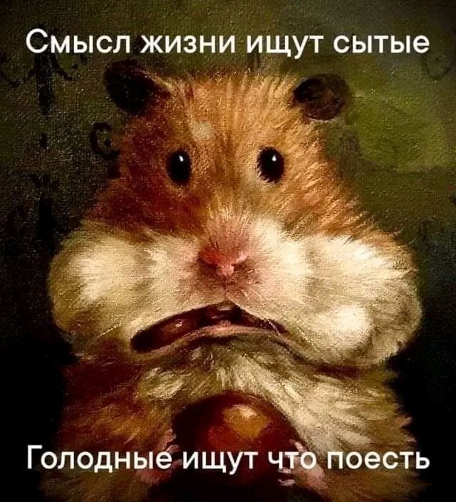 СМЫСЛ ЖИЗНИ ИЩУТ сытые Голодныё ищут чЁ сесть