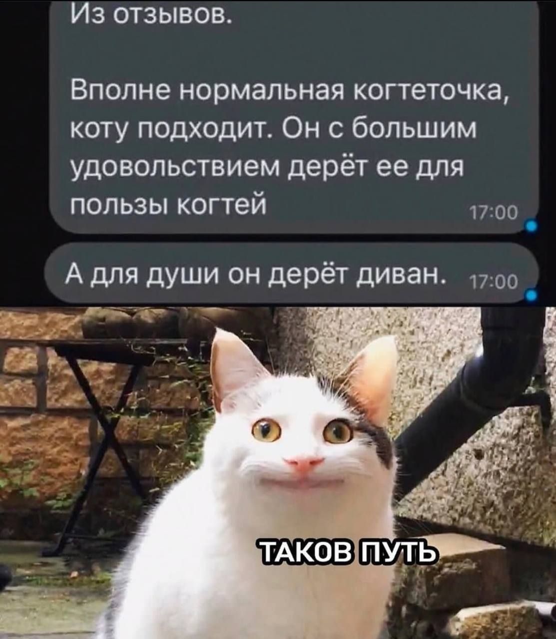 Из отзывов Вполне нормальная когтеточка коту подходит Он с большим удовольствием дерёт ее для пользы когтей до _ А для души он дерёт диван 17 по _