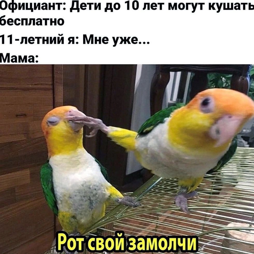 лициаит дети до 1 лет могут кушат есппатно 1 петиий я Мне уже