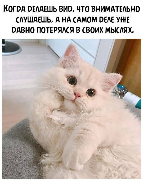 Когод пишешь вип что внимдтъльно тшдвшь А нд сАмом ош уже одвно потнгялся в своих мысых