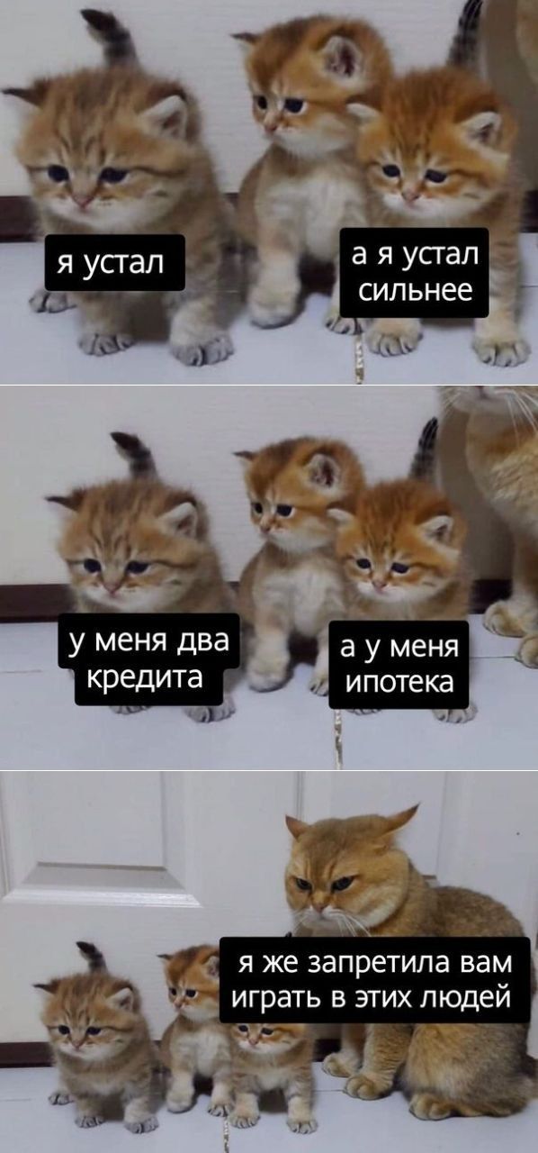 Я же запретила вам играть В ЭТИХ людей