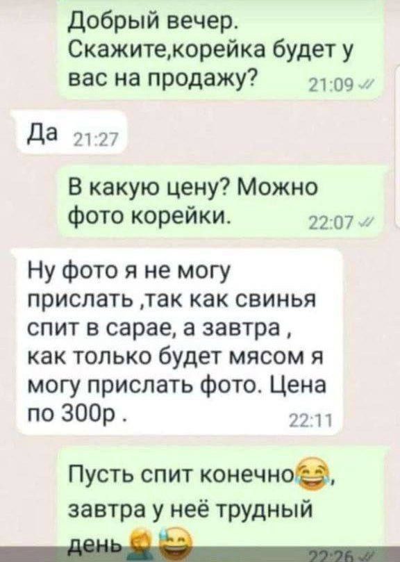 Добрый вечер Скажитекорейка будет у вас на продажу 21 09 Да 2127 В какую цену Можно фото корейки 22 07 Ну фото я не могу прислать так как свинья спит в сарае а завтра как только будет мясом я могу прислать фото Цена 30053 2 11 Пусть спит конечно завтра у неё трудный