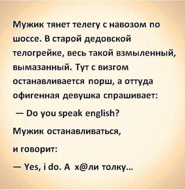 Мужик тянет телегу с навозом по шоссе В старой дедовской телсгрейке весь такой взмьпленный вымазанный Тут с визгом останавливается порш а оттуда офигенная девушка спрашивает Во уои вреак епвіЬ Мужик останавливаться и говорит Уез Шо А хли толку