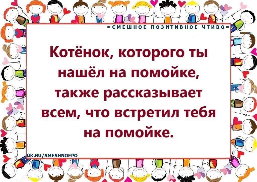 сцвшинн пп типы ити пк Котёнок которого ты нашёл на помойке также рассказывает всем что встретил тебя на помойке