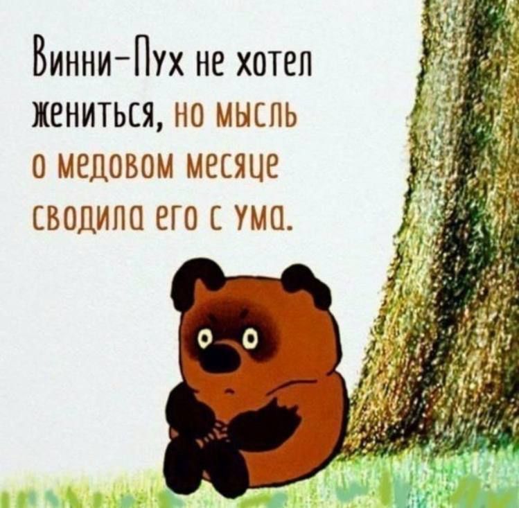 Винни Пух не хотел жениться но мышь меловом месяце водица его с ума