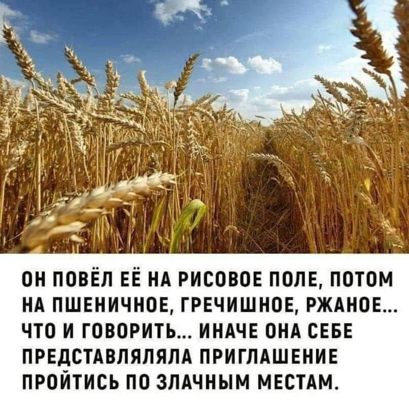 он повёл ЕЁ ил рисовое попе потом нд пшвничное гречишнов гждноь что и говорить индчв оил сев предстдвпялям пригмшвнив пройтись по змчным мвстдм