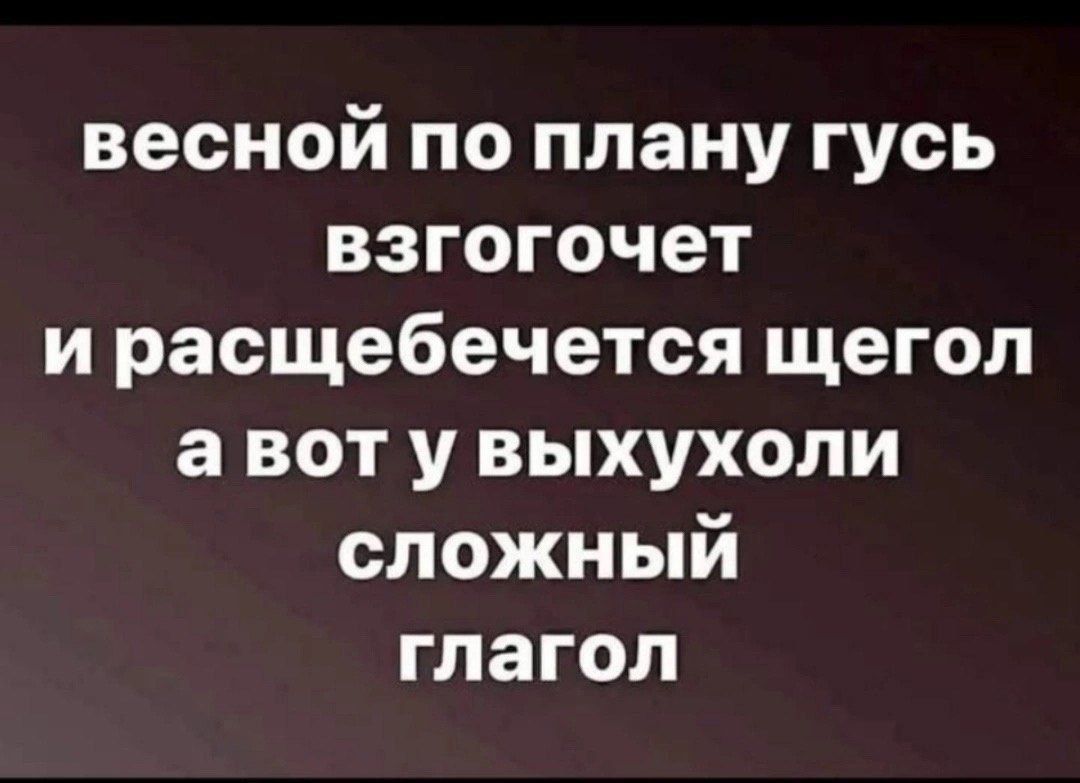 весной по плану гусь взгогочет и расщебечется щегол а вот у выхухоли сложный глагол