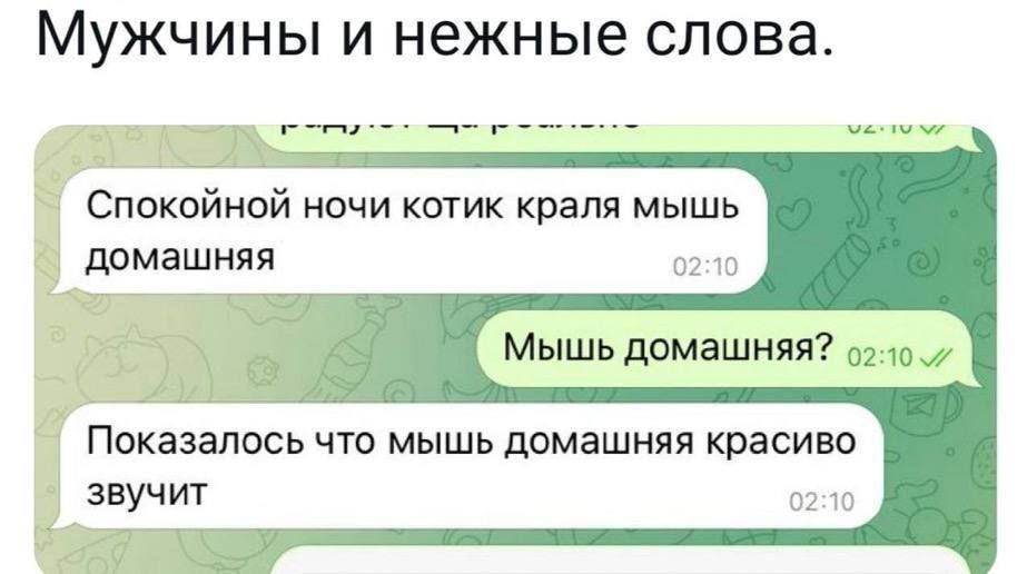 МУЖЧИНЫ И нежные СЛОВЗ Спокойной ночи котик крапя мышь домашняя Показалось что мышь домашняя красиво звучит