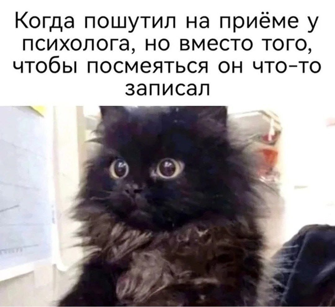 Когда пошутил на приёме у психолога но вместо того чтобы посмеяться он чтото ЗЭПИСЭП