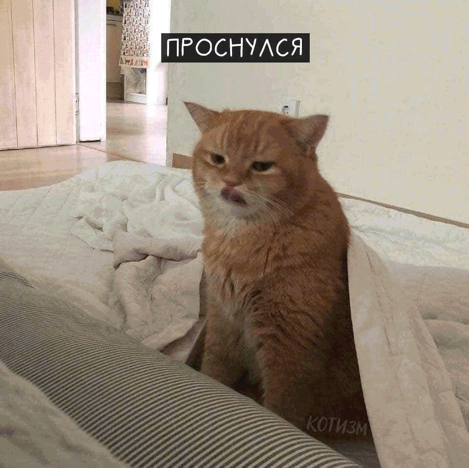 ПРОСНУАСЯ