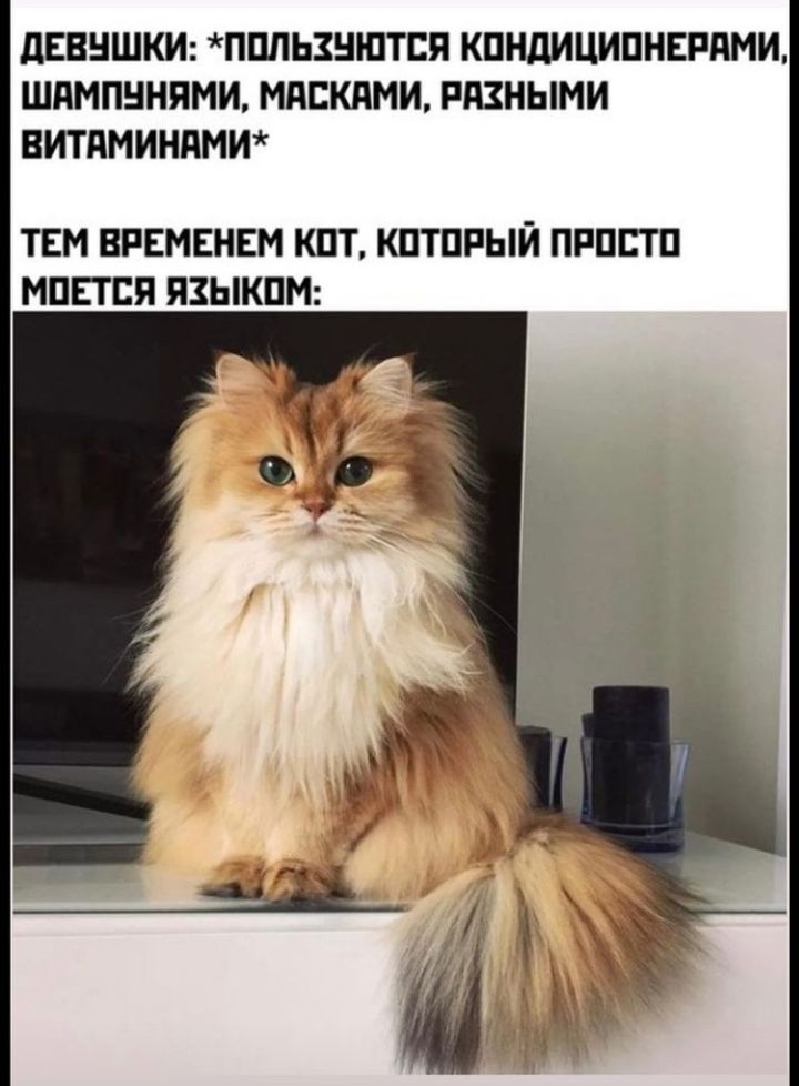 дЕВНШКИ ППЛЬЗНШТЕП КПНдИЦИПНЕГ ЯМИ ШдМПННПМИ МдБКдМИ РАЗНЫМИ ВИТЯМИНПМИ ТЕМ ВРЕМЕНЕМ КПТ КПТПРЫЙ ПРПСТП МПЕТСЯ ПЗЫКПМ