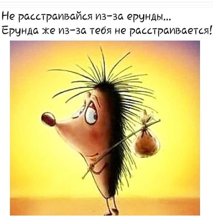 Не расстраивайся изза ерунды Ерунда же изза тебя не расстраивается гг