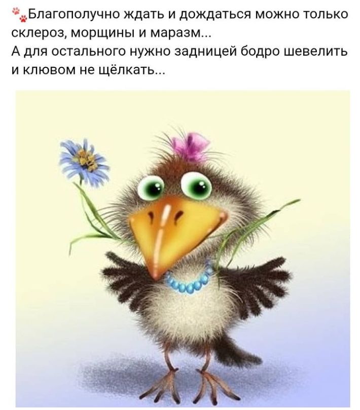 Благополучно ждать и дождаться можно только склероз морщины и маразм А для остального нужно задницей бодро шевелить и клювом не щёлкать