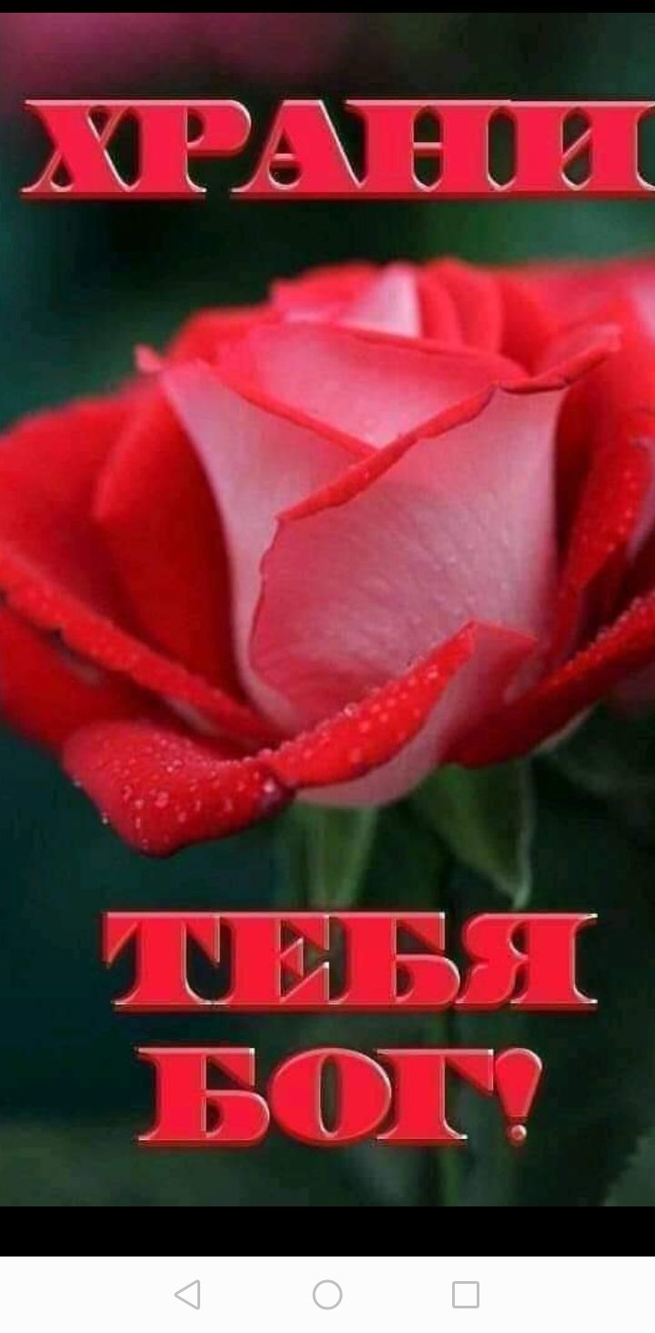 11 171 2 к _ _ Е Ё к