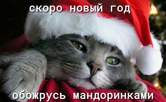 А бч русь мандоринкам
