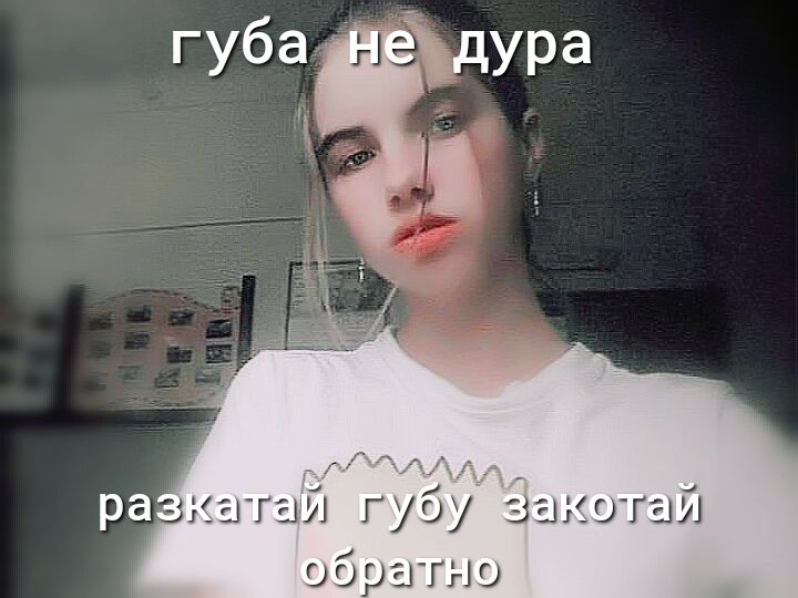 _атай гушу Закотай ооратно