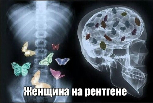 на ПЕНПВШЪ