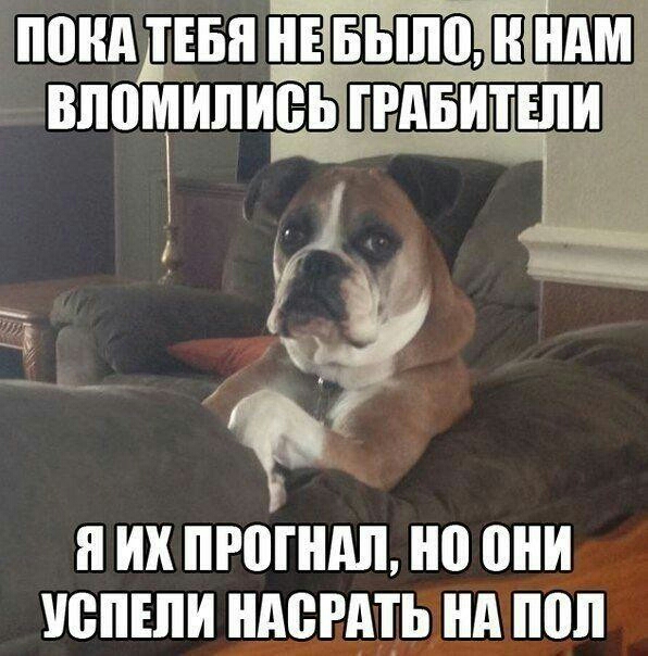 понд дпни ним впомипиеьпрвитшиі А Я ИХ ПРШШШ 0 они ЮПШИ ндсгдть ни под