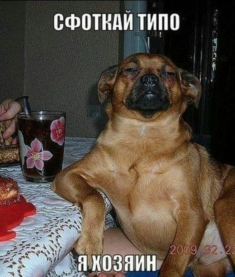 сфотнди Ётипп