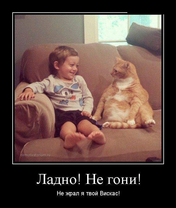 Ладно Не гони Не жрап я твой Вискас