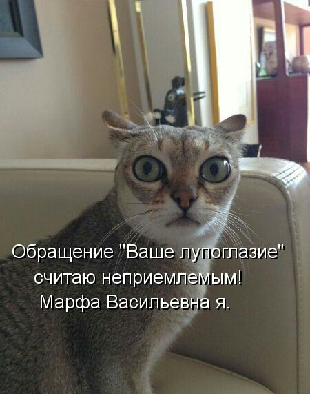 Обращение Ваше п пггіазие считаю неприемп ым Марфа ВасильевЁ я