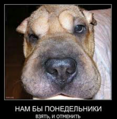 НАМ БЫ ПОНЕДЕЛЬНИКИ взять и ответ