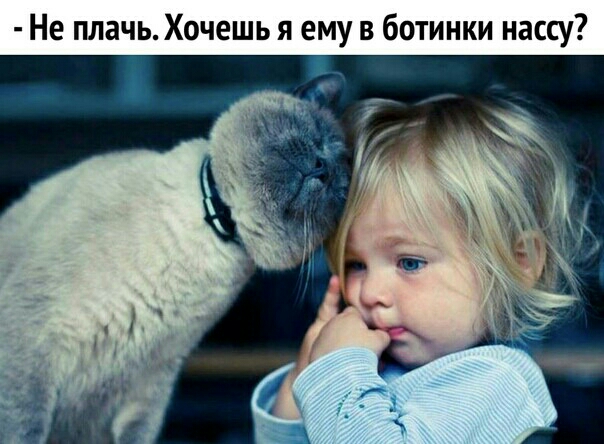 Не плачь Хочешь я ему в ботинки нассу